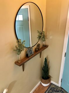 a mirror and some plants on a shelf