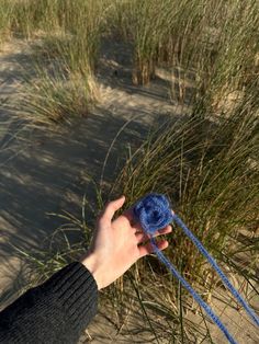 a hand holding a blue yarn ball in front of some tall grass and sand dunes