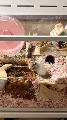 a hamster is sitting in its cage at the pet store