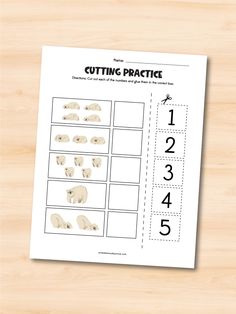 a cut and pasted worksheet for cutting practice