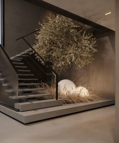 an olive tree is in the middle of a room with stairs and railings on either side