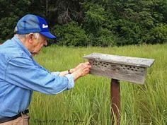 Bluebird Nest, Steel Fence Posts, Bird House Plans Free, Birdhouse Plans, Dad Crafts, Bluebird House, Bird Brain, Plants Art