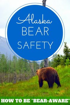 a brown bear standing on top of a lush green field