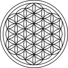 the flower of life symbol is shown in black on a white background, and it appears to be made up of circles