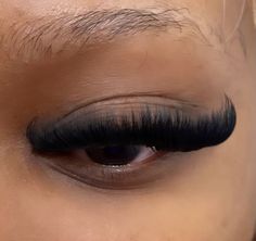 Lash Ideas