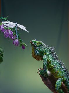 a lizard and a dragon fly next to each other