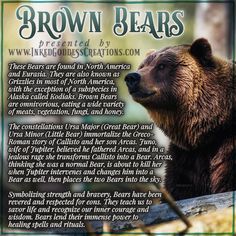 A large brown bear stands in front of a fallen log, gazing to the left. Its fur is varying shades of brown and quite thick. The text outlines some trivia about brown bears, their symbolism, and ways you can use their energy in your magickal practice. Presented by Inked Goddess Creations. Magical Creatures Mythology, Pergola Planter, Animal Medicine, Brown Bears, Animal Guides, Animal Spirit