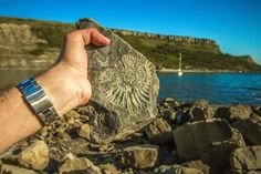 a hand holding a rock near the ocean