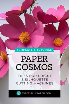 paper cosmos with text overlay that reads, template & printable