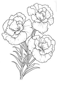 three flowers are shown in this black and white drawing, with one flower on the left side