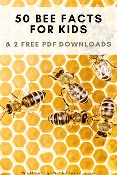 Honeybees climbing on a yellow honeycomb. The text reads 50 Bee Facts for Kids and 2 free PDF downloads. All About Honey Bees, How To Save The Bees, Bee Facts For Preschoolers, Bee Stem Activities, All About Bees For Preschoolers, Bee Learning Activities For Kids, Bee Lessons For Preschoolers, Bees For Preschool, Preschool Bee Activities