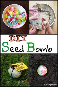 several different pictures with the words diy seed bomb written on them and images of eggs