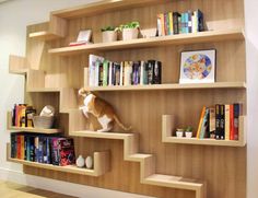 an orange and white cat climbing up the stairs in a bookshelf