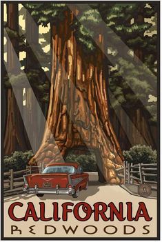 a red car is parked in front of a giant tree with the words california redwoods on it