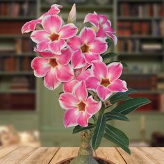 a vase with pink flowers on a wooden table in front of a bookshelf