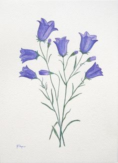 a painting of purple flowers on a white background