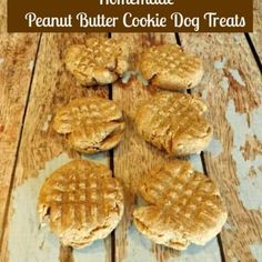 homemade peanut butter cookie dog treats on a wooden table