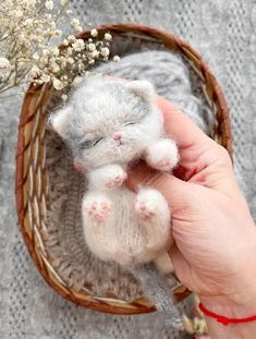 a hand is holding a tiny white kitten in a basket with baby's breath flowers