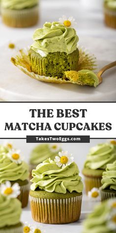 the best matcha cupcakes with green frosting and daisies