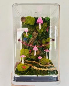 a glass case with moss and mushrooms in it