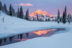 a snow covered mountain with trees in the foreground and a small pond at the bottom