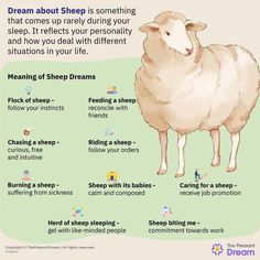 The dream about sheep is an omen for welfare and happiness in the family. It also means that someone is guiding your life, hence preventing you from making thoughtless decisions. Dream Magick, Fat Burning Yoga, Happiness In Life, Mother Earth Living, Cleaning Your Ears, Job Promotion, Health Signs