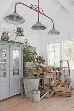 a room filled with lots of potted plants on top of wooden flooring next to windows