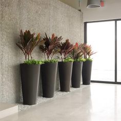 four planters are lined up against the wall