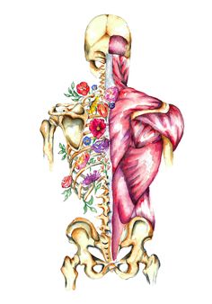 the back view of a human body with muscles highlighted and flowers on its chest,