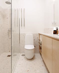 a white toilet sitting in a bathroom next to a walk in shower and wooden cabinets