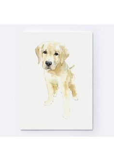 a watercolor painting of a yellow labrador retriever dog in a black frame hanging on a wall