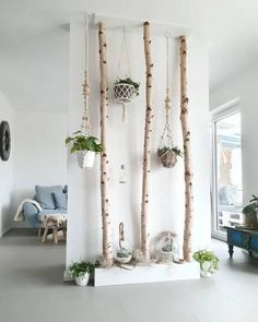 a living room filled with lots of plants and hanging planters next to each other