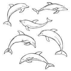 four dolphins jumping in the air with their mouths open and one dolphin swimming behind them