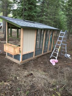 a small chicken coop in the woods next to a ladder