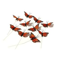 a group of orange butterflies sitting on top of each other in front of a white background