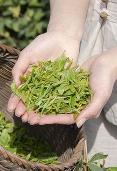 a person holding out their hands with some green plants in the basket next to them