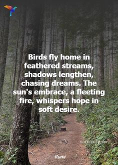 a trail in the woods with a quote about birds fly home in feathered streams, shadows lengthen, chasing dreams the sun's embrace, a feeling fire, whispers hope in soft