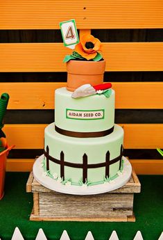 there is a green cake with an orange flower on the top and brown stripes around it