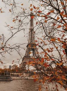 the eiffel tower is surrounded by autumn leaves