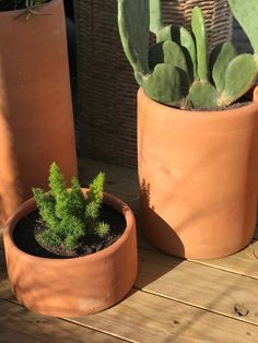 two clay pots with plants in them on a wooden table outside, one is green and the other is brown