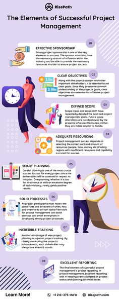 the elements of successful project management infographic poster with text and icons in purple tones