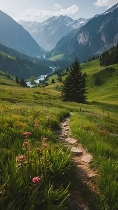 a path in the middle of a green valley