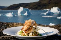 a white plate topped with a sandwich and icebergs in the background