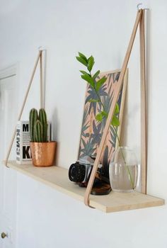 a shelf with some plants and pictures on it