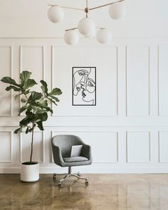 a chair and a potted plant in an empty room with white paneled walls