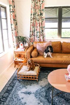 a dog sitting on top of a couch in a living room next to a window