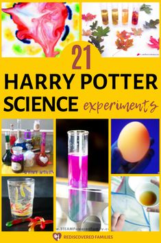 the cover of harry potter's science experiment book, with images of different items