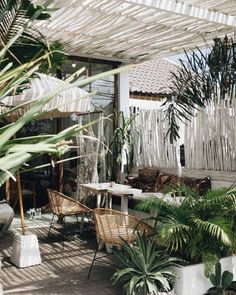 an outdoor patio with lots of plants and chairs on the floor, including palm trees