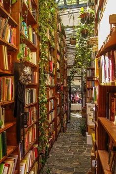 a narrow alley with lots of books lined up on the walls and plants hanging from the ceiling