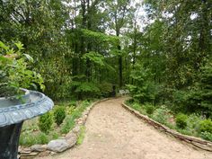 a dirt path in the middle of a forest